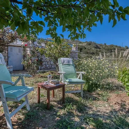 Mirtula - Lush Garden & Plunge Pool
